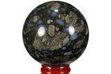 Polished Que Sera Stone Sphere - Brazil #112528-1
